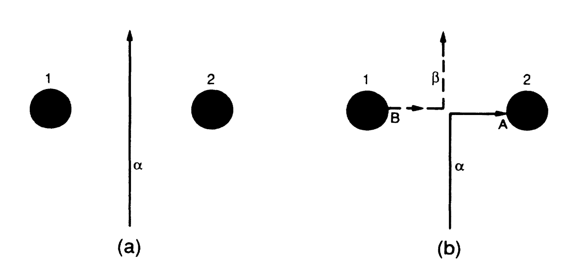 Paradoxical trajectory and its self-consistent solutions